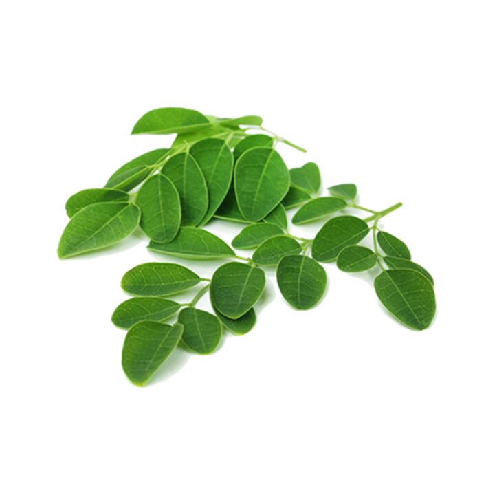 Normadex zawiera liść moringi – silny naturalny środek przeciw pasożytom